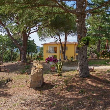 Villino Nel Bosco Βίλα Capoliveri  Εξωτερικό φωτογραφία